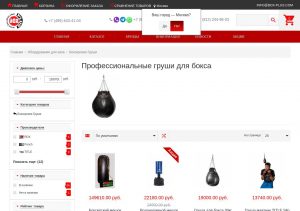 Особенности тренировок с напольной боксерской грушей